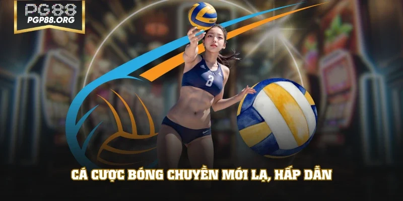 Cá cược bóng chuyền mới lạ, hấp dẫn
