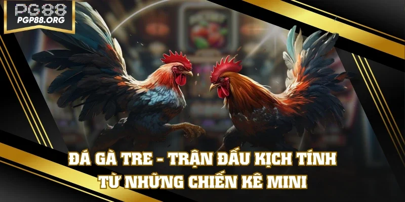Đá Gà Tre - Trận Đấu Kịch Tính Từ Những Chiến Kê “Mini”