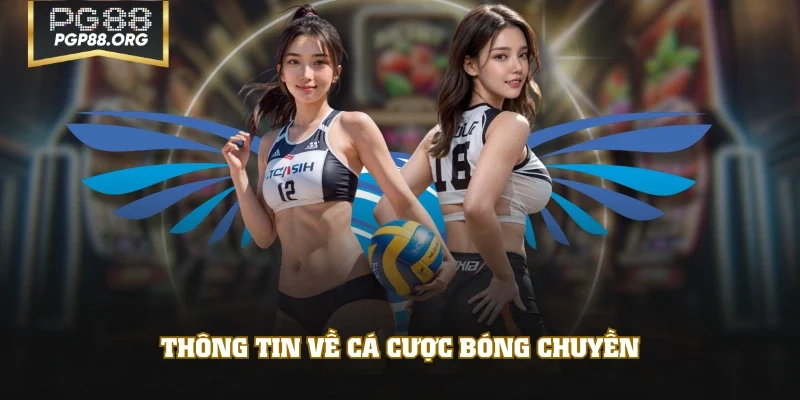 Thông tin về cá cược bóng chuyền